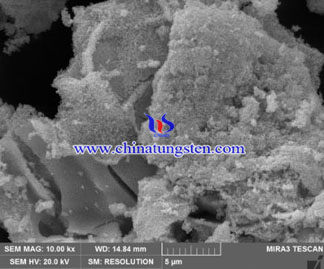 藍色氧化鎢掃描電子顯微鏡照片圖片